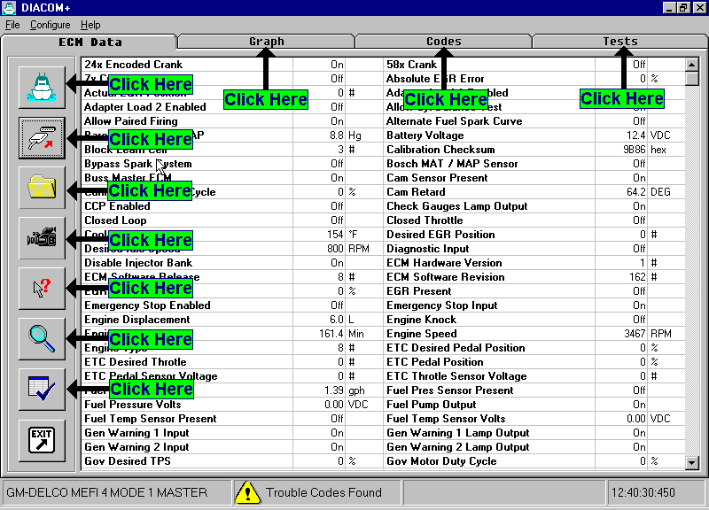 Diacom Main Data Screen